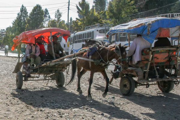 Debre Birham (local transport)