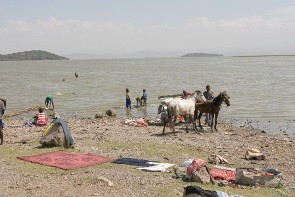 A nice cooling, washing and drinking place for humans and animals (Lake Langano)