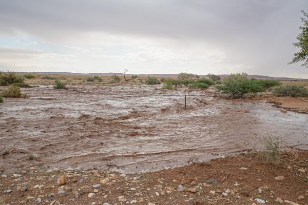 The road C19 between Soitaire and Sesriem