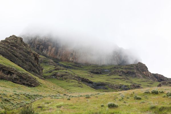 Boven op de Sani Pass geringde endemische vogels