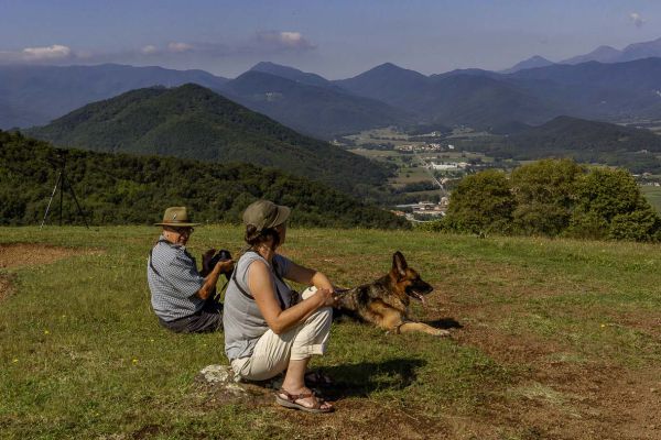 Marieke-Higgins-Willie