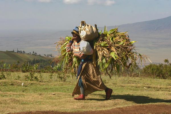Hard work for a woman
